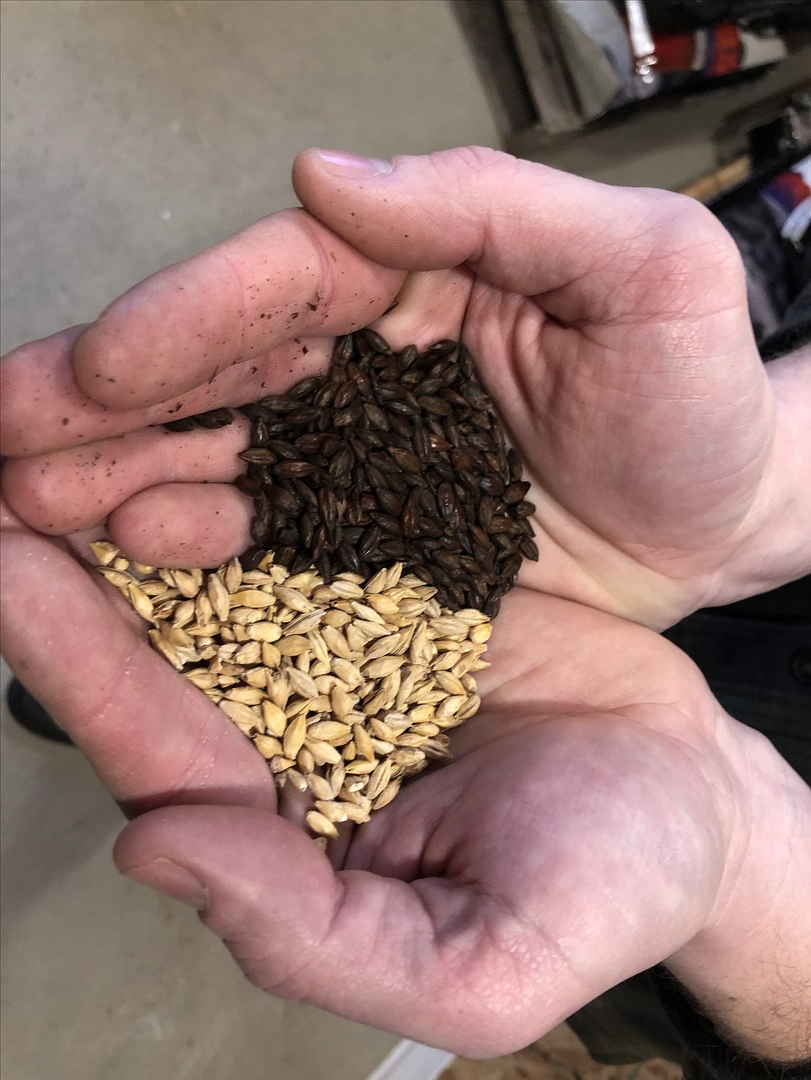 The grain room of Two Saints Brewing Company is where the brewery’s hops, wheat, oats and barley are stored. The grains lighten or darken the company’s five signature beers, named after local landmarks.