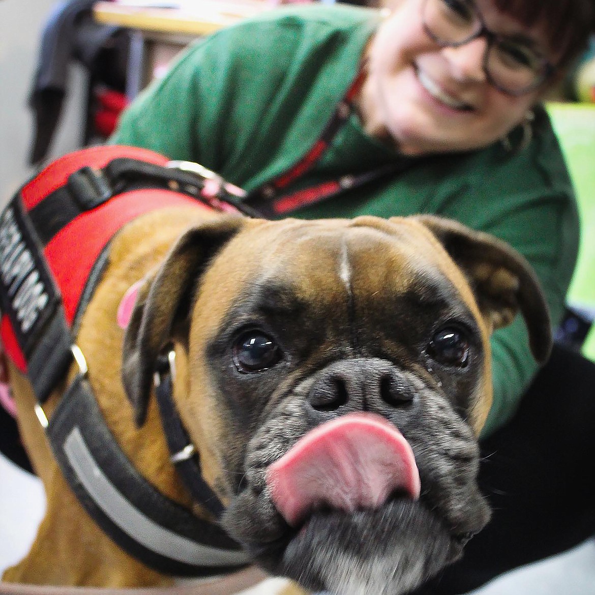 Pepper gives a "smile" for the camera during a fall visit to Sandpoint Middle School. The reading assistance dog has been such a success at Farmin Stidwell that the Lake Pend Oreille School District is hoping to add the therapy dogs at all schools in the district.