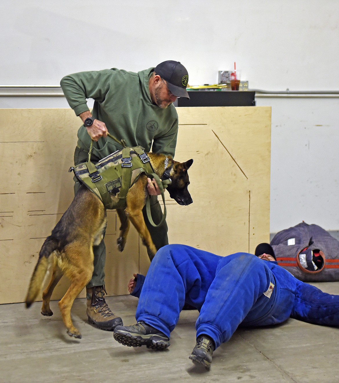 McGauley retrieves Audie at the end of a training session while the decoy appears defeated. (Julie Engler/Whitefish Pilot)