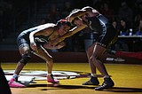 BASIN WRESTLING REPORT: Huskies, Mavs, Cougars earn high placings