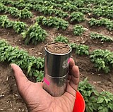 WSU to co-host SoilCon24 in February