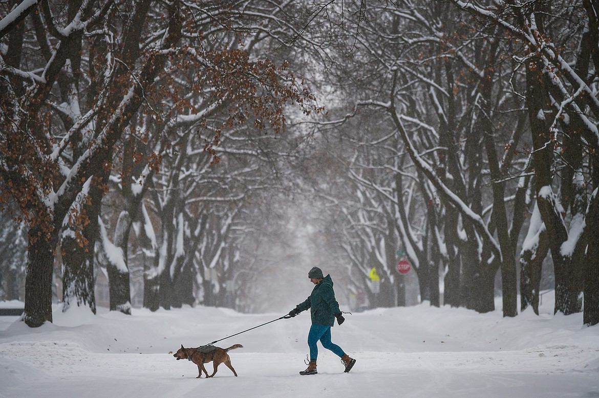 Allie O'Brien takes her dog Pico for a walk along Fifth Street East during a snowstorm on Wednesday, Jan. 17. (Casey Kreider/Daily Inter Lake)