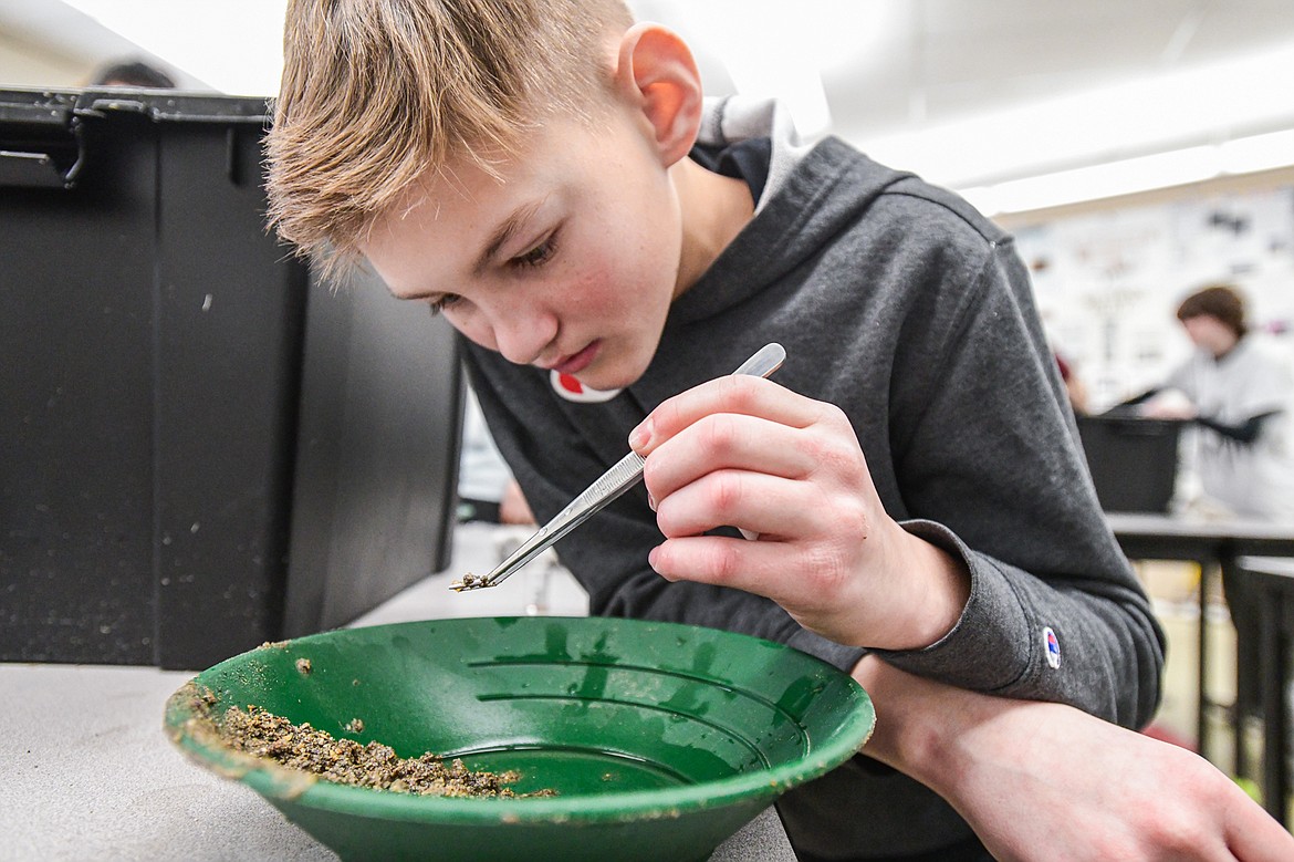 Eighth-grade student Johnny Popkov uses a tweezer to pick out potential minerals found in the panning process in Kalispell Middle School teacher Kris Schreiner's Montana History class on Tuesday, Jan. 16. (Casey Kreider/Daily Inter Lake)