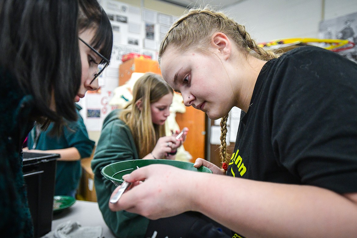 Eighth-grade students Mylee Mills, left, Jakaleigh Peters, right, and Divya Smith, back, search for minerals found in the panning process during Kalispell Middle School teacher Kris Schreiner's Montana History class on Tuesday, Jan. 16. (Casey Kreider/Daily Inter Lake)
