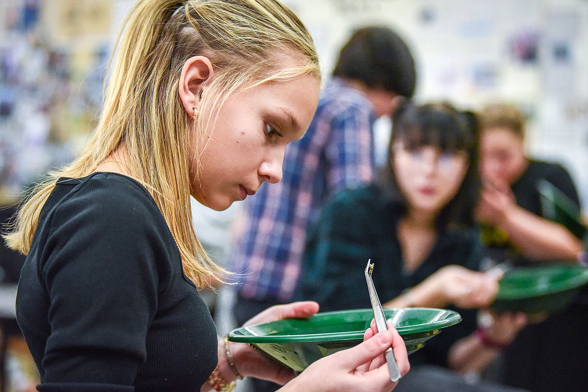 Eighth-grade student Renna Dillenburg uses a tweezer to pick out potential minerals found in the panning process in Kalispell Middle School teacher Kris Schreiner's Montana History class on Tuesday, Jan. 16. (Casey Kreider/Daily Inter Lake)