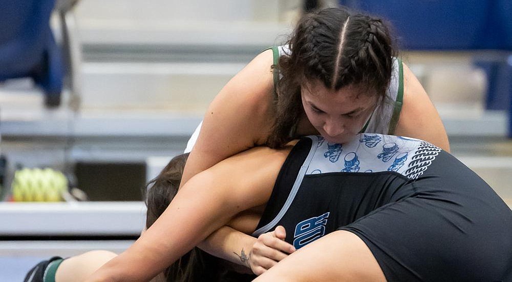 Three Vikings wrestlers returned from an Oregon wrestling meet with hardware to show for their efforts on the mat at the Boxer Open.