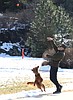 Throw the ball already