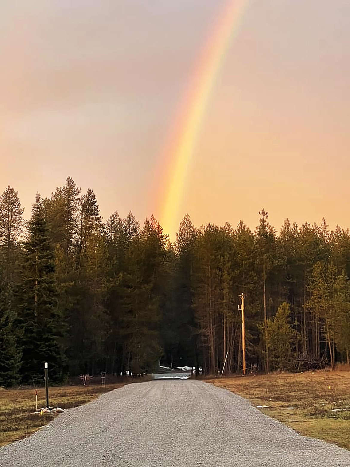 Chris Harrelson shared this Best Shot in response to a Daily Bee Facebook post asking readers to share their favorite recent photo. If you have a photo that you took that you would like to see run as a Best Shot or I Took The Bee send it in to the Bonner County Daily Bee, P.O. Box 159, Sandpoint, Idaho, 83864; or drop them off at 310 Church St., Sandpoint. You may also email your pictures to the Bonner County Daily Bee along with your name, caption information, hometown, and phone number to bcdailybee@bonnercountydailybee.com.