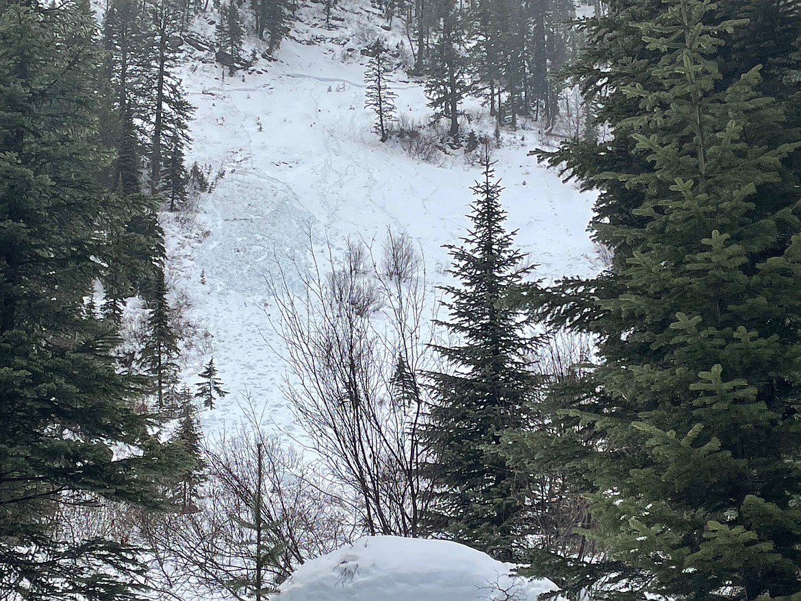 An image from the Flathead Avalanche Center shows a small avalanche reported Jan. 28, 2024.