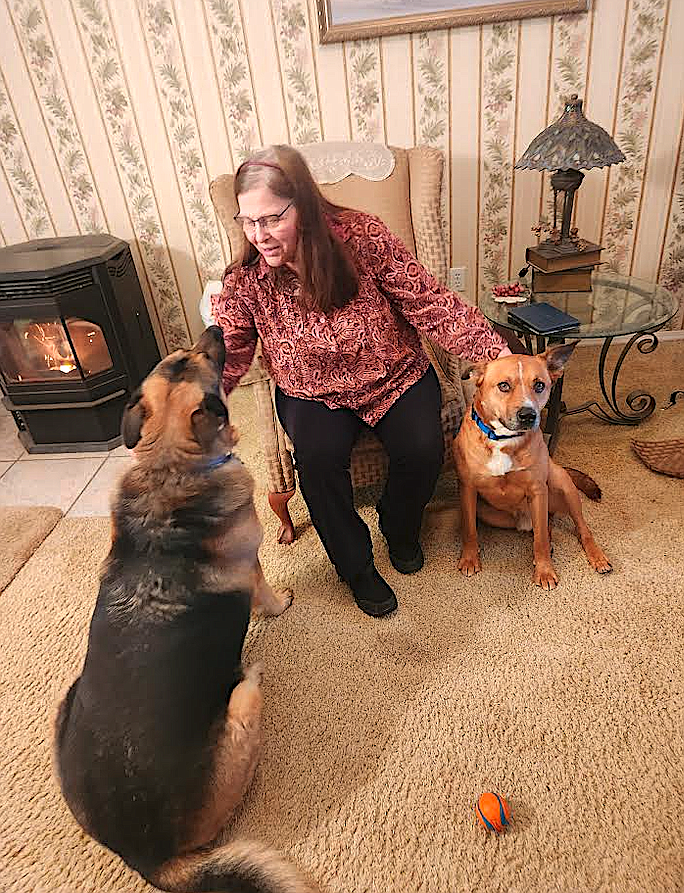 Deborah Rose with her German shepherd, Barron, and Akita-shepherd mix George. She adopted George after he spent time at Companions Animal Center, where he stayed once he was caught by animal control last summer, putting an end to his years living on the streets.