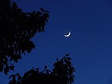 Best night sky events for February 2024