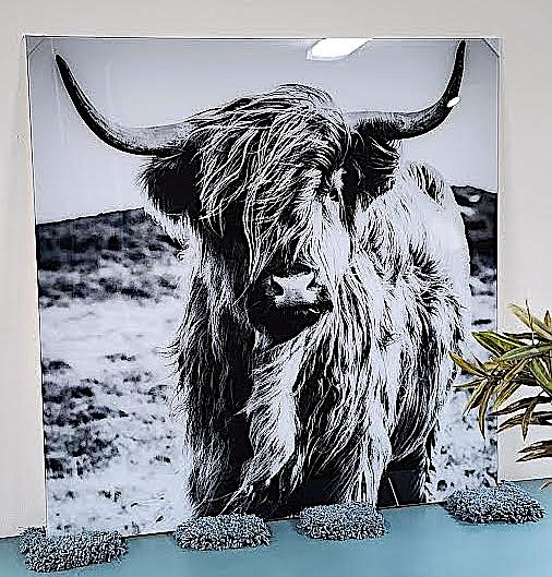 An art piece of a Scotch Highland cow is one of the paintings and drawings available at Harbor Light Furniture and Flooring. (Berl Tiskus/Leader)