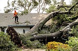 Historic storm sends debris through L.A.'s Hollywood Hills and leaves 1.1 million without power