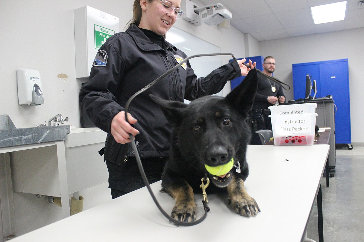 Post Falls Police Senior Patrol Officer Lauren Pierson and Police Service Dog, Donna, teach a class at the NIC Workforce Training Center on Feb. 22, 2023. The Post Falls Police K-9 program was just one of 90 classes taught as part of the 15th annual Safety Fest of the Great Northwest this week. The three-day event is offered annually for free to anyone in the community seeking free training from some of the area’s best safety instructors.