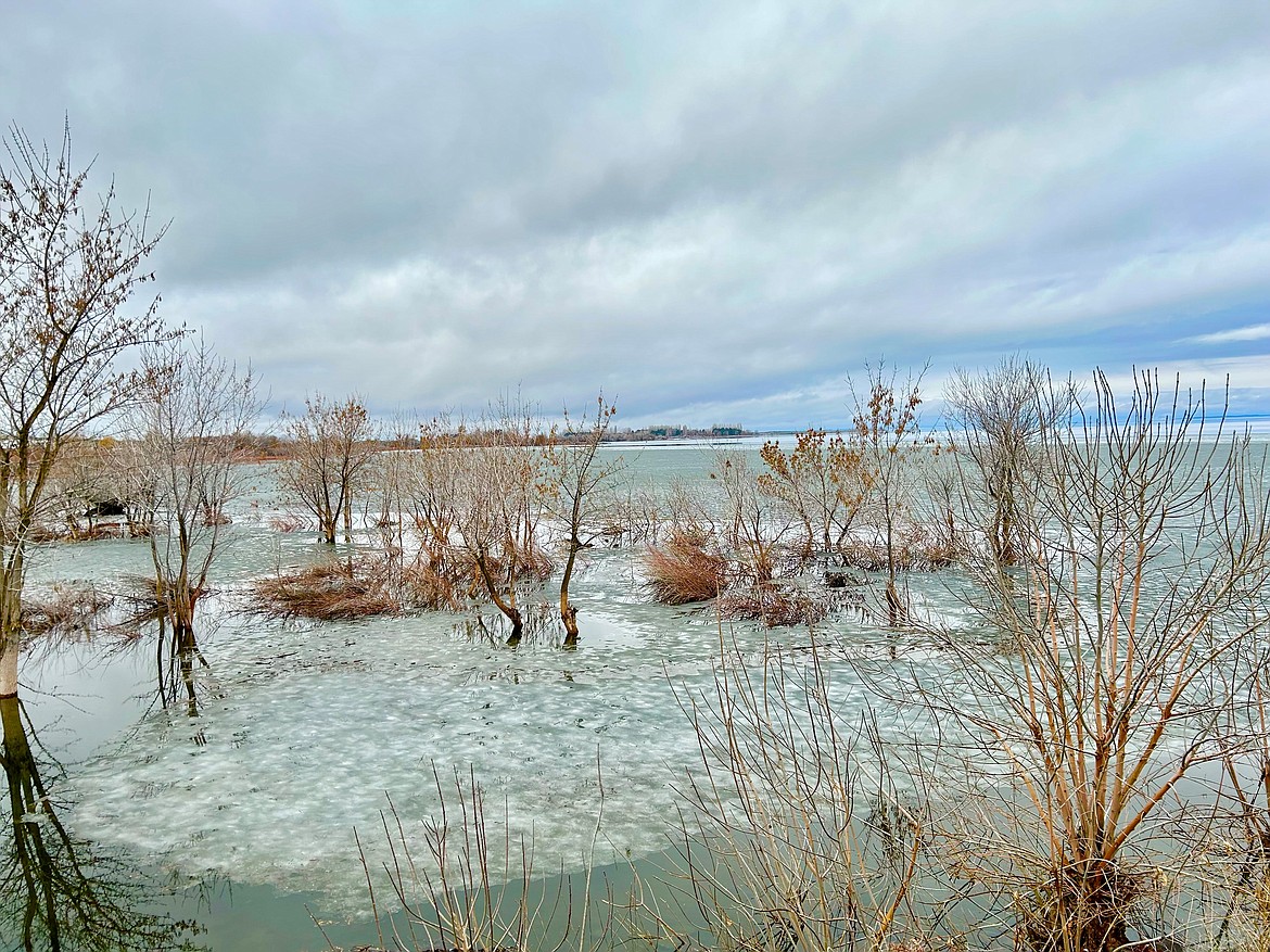 The ice is breaking up on Potholes Reservoir, which means it's almost time for spring fishing.