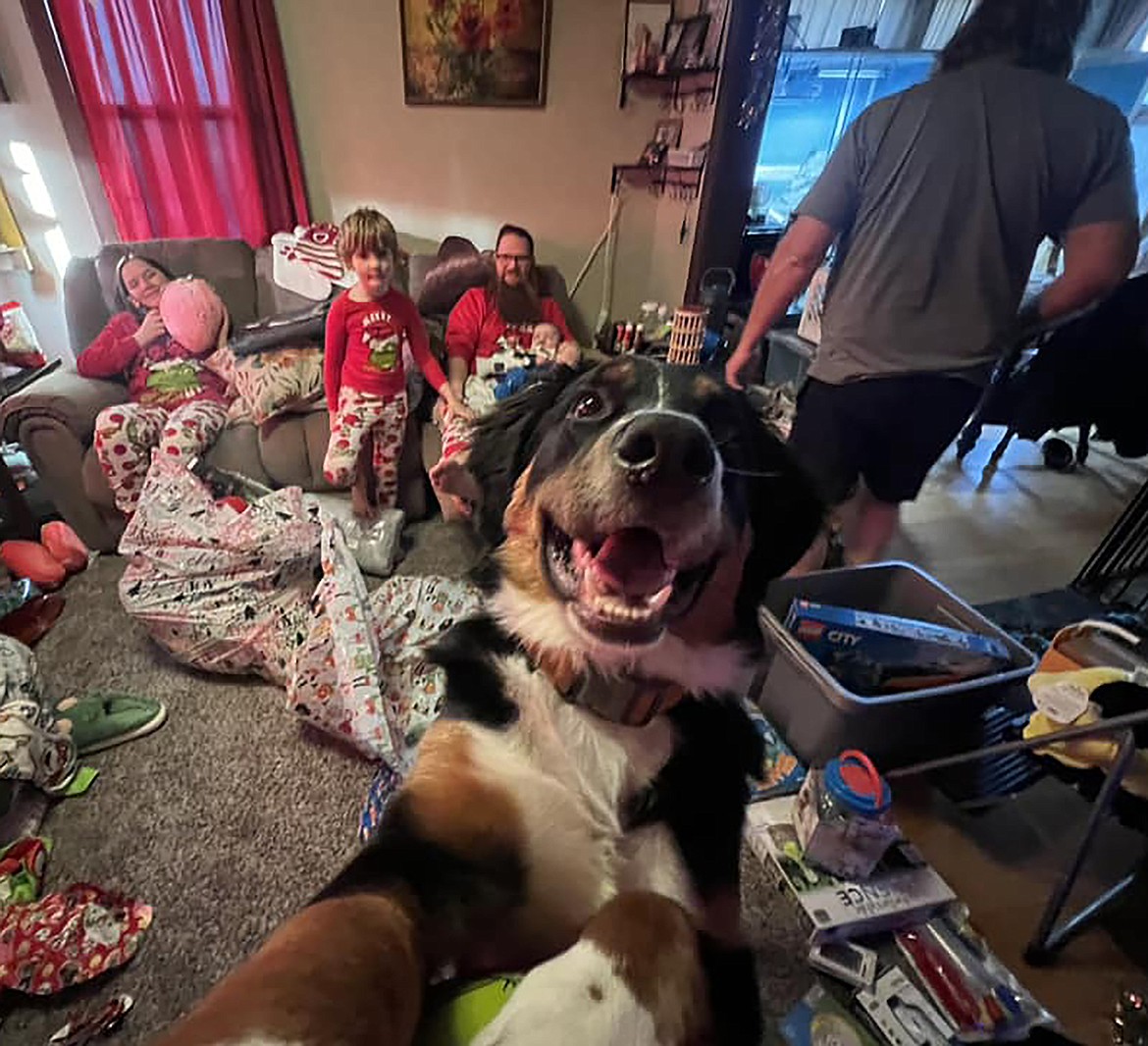 "Puppy photo bomb at Christmas," wrote Holly Slater in sharing this Best Shot in response to a Daily Bee Facebook post asking readers to share their favorite recent photo. "He just had to be in the shot." If you have a photo that you took that you would like to see run as a Best Shot or I Took The Bee send it in to the Bonner County Daily Bee, P.O. Box 159, Sandpoint, Idaho, 83864; or drop them off at 310 Church St., Sandpoint. You may also email your pictures to the Bonner County Daily Bee along with your name, caption information, hometown, and phone number to bcdailybee@bonnercountydailybee.com.