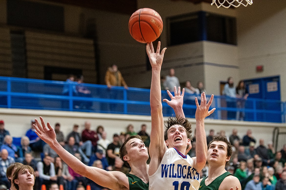 Wildcat Dayne Tu (center) puts up a shot against Whitefish at home Tuesday, Jan. 30. (Avery Howe photo)