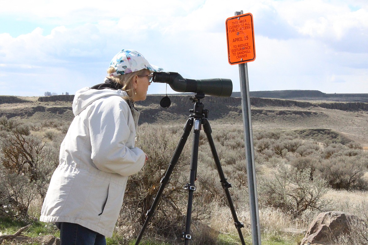 Cynthia Purinton uses a spotting scope to examine the roosting ground for sandhill cranes and other birds at the Marsh Unit 1 overlook on the Columbia National Wildlife Refuge in March 2023, during the annual Othello Sandhill Crane Festival. The 2024 festival is scheduled for March 22 to 24.