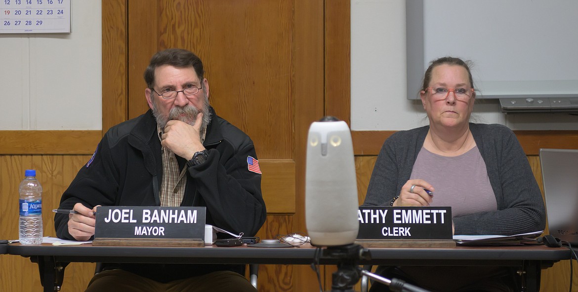 Plains Mayor Joel Banham reviews the FOIA fee schedule. (Tracy Scott/Valley Press)