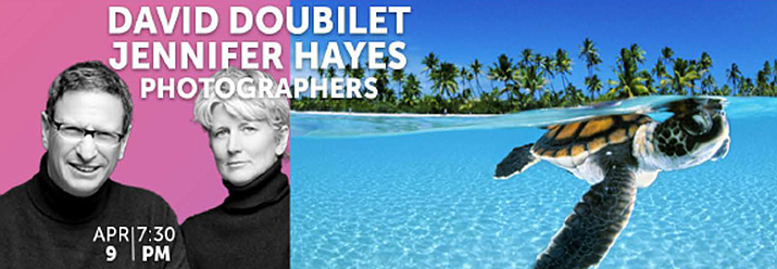 David Doubilet and Jennifer Hayes will present Two Worlds: Above and Below the Sea at the Wachholz College Center. (Provided image)
