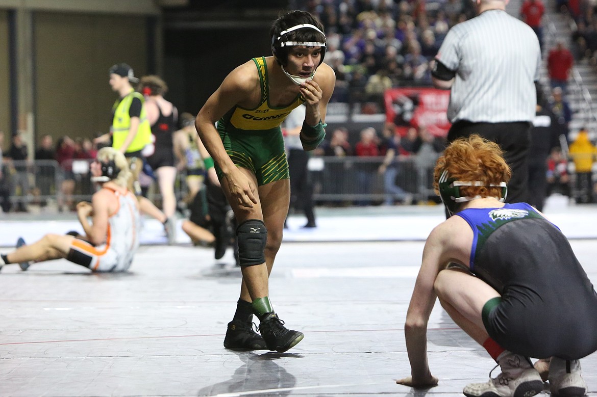 Quincy junior Saidt Alvarez, left, is heading to his third straight Mat Classic.