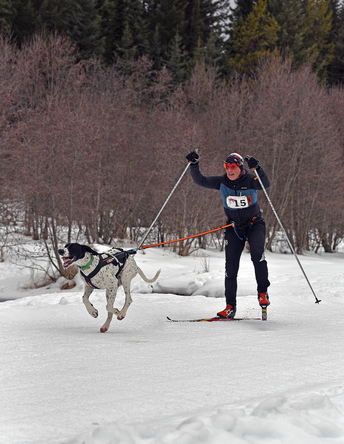 Flathead Classic skijoring competitors race at Dog Creek. (Julie Engler/Whitefish Pilot)