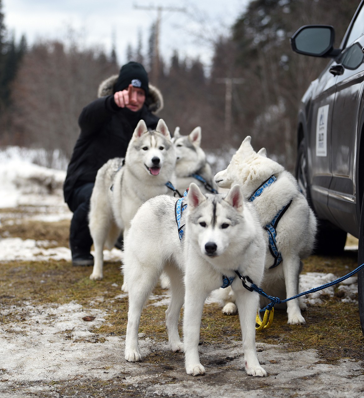 Participants at the Flathead Classic dog sled races at the Dog Creek Lodge in Olney. (Julie Engler/Whitefish Pilot)