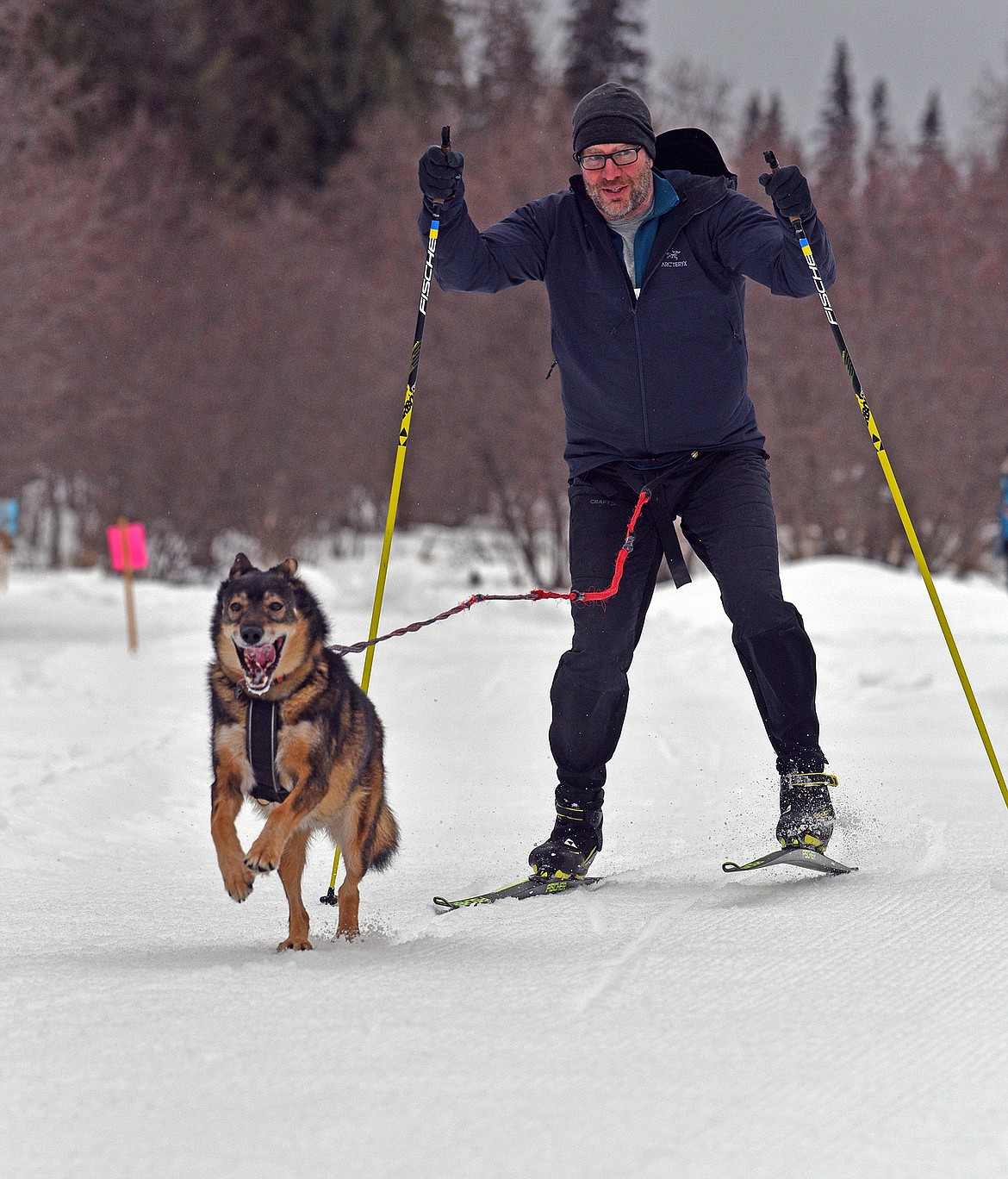 Flathead Classic skijoring competitors race at Dog Creek Lodge and Nordic Center in Olney. (Julie Engler/Whitefish Pilot)