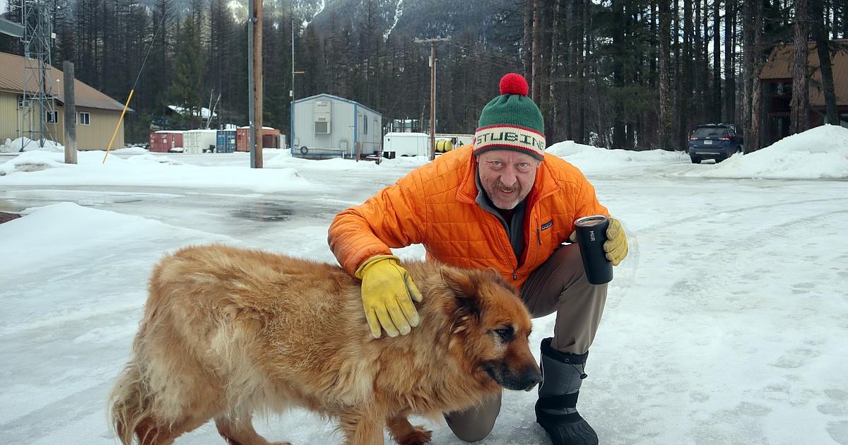Veteran skier oversees solitude of Essex trails - Vimarsana News