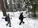 Snow patrol