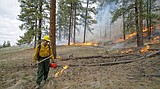 WDFW to begin prescribed fires in March