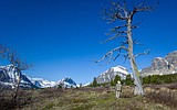 Sun Road, North Fork reservations selling out in a couple of minutes; Many Glacier reservations available now