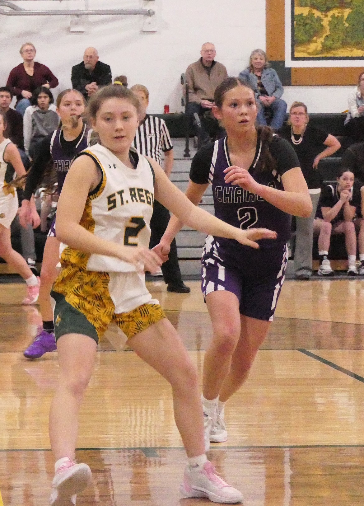 St. Regis junior guard Shylah Dalka, a first-team District 14C all star selection, dribbles past a Charlo player during a game earlier this season. (Chuck Bandel/VP-MI)