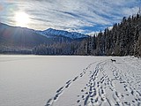 Opinion: Being Montanan