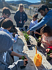 Green thumbs in the making