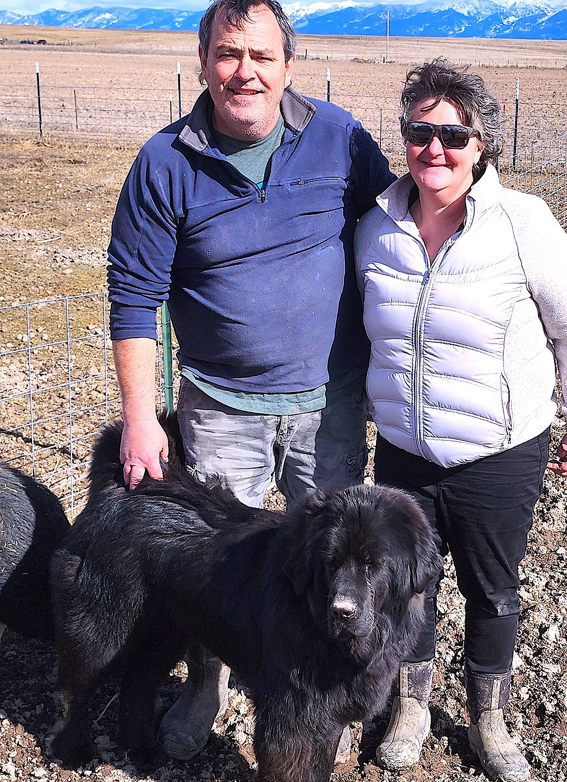 Brett and Emily Peterson stand with Margie, their Tibetan Mastiff who keeps an eye on their Kunekunes (Berl Tiskus/Leader)