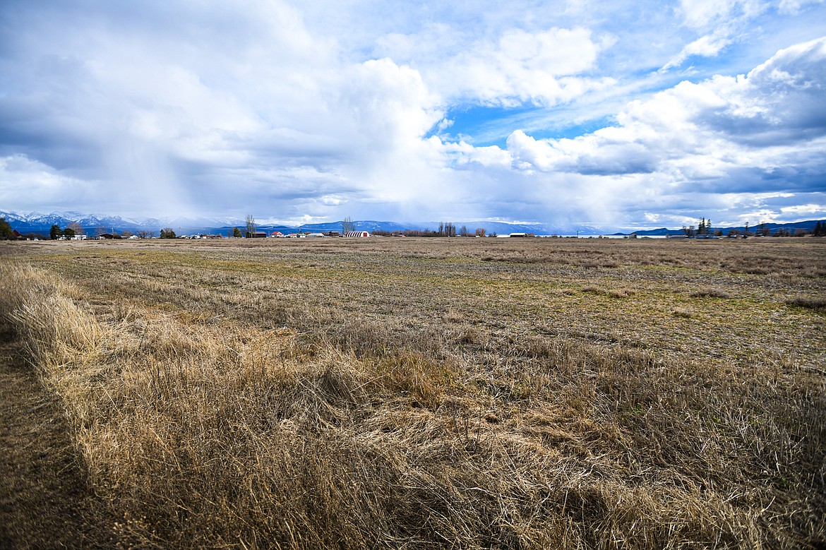 The site of the proposed Steamboat Landing subdivision project off Sunnybrook Lane and Klondyke Loop in Somers on Tuesday, March 12. (Casey Kreider/Daily Inter Lake)