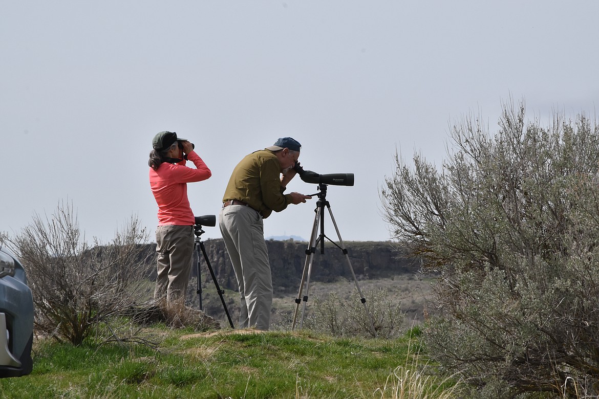 Attendees at a previous Sandhill Crane Festival in Othello scan the sky for the majestic birds. This year’s festival is March 22-24.