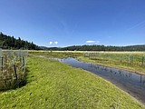 OUR GEM: Restoration Partnership selects Coeur d’Alene Basin restoration projects
