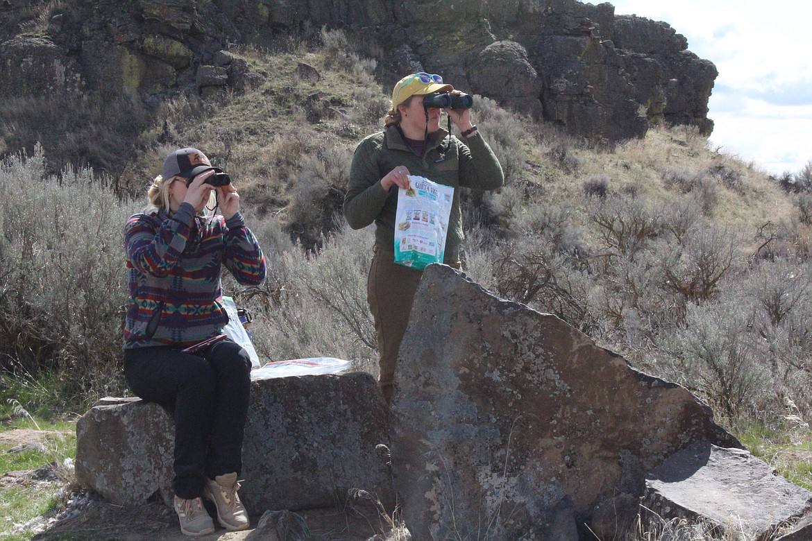 Othello Sandhill Crane Festival this weekend Columbia Basin Herald