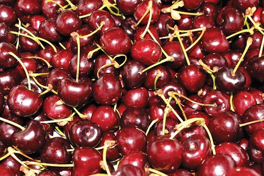 Washington cherry growers will be eligible for low-interest loans through a federal disaster declaration issued after a request from members of the state’s Congressional delegation.