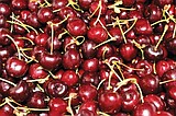 Low interest loans available to cherry growers