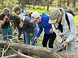 'Women In the Woods' returns