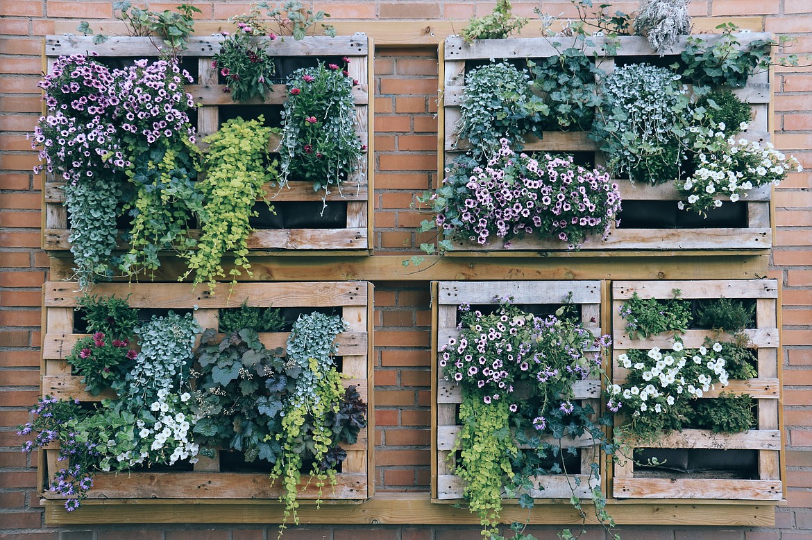 A small example of "vertical green wall," with planting crates mounted on a wall.