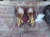 Man admits guilt in slaughter of eagles
