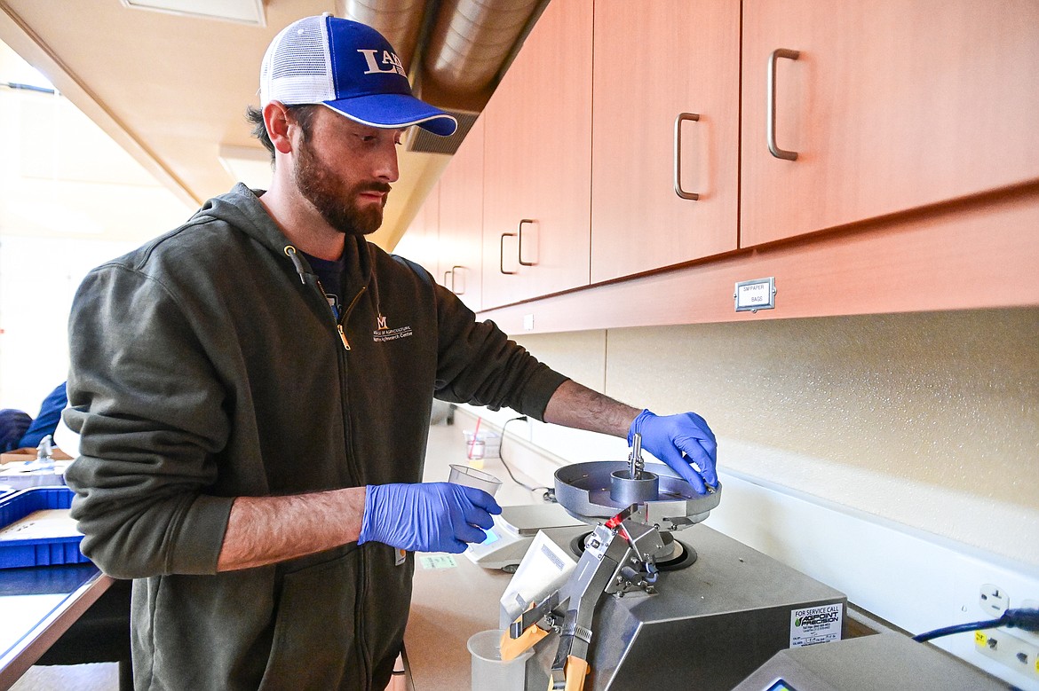 Research associate Dan Porter places spring wheat seeds into a seed-counting machine before running germination tests at Montana State University's Northwestern Agricultural Research Center in Creston on Wednesday, March 27. (Casey Kreider/Daily Inter Lake)