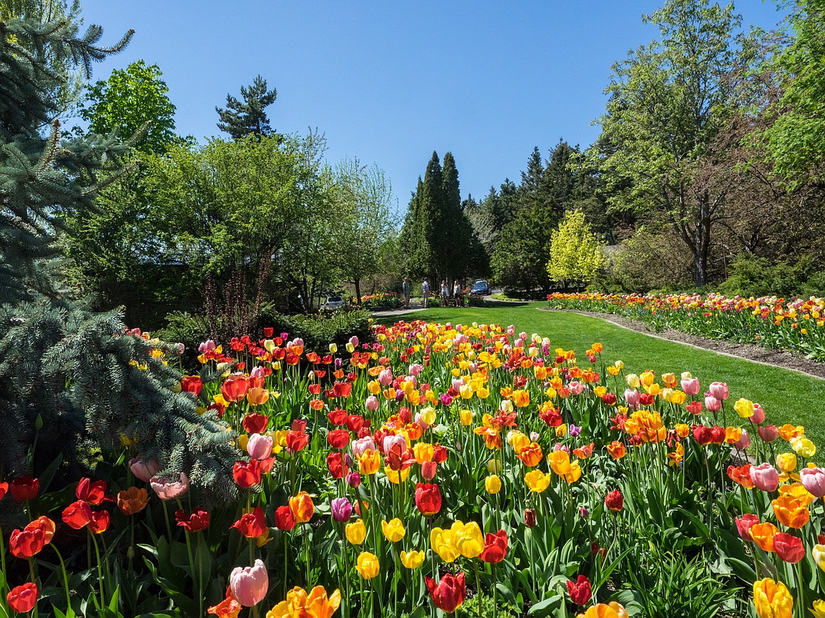 Bibler Home and Gardens is a privately owned residence and ornamental landscape designed by Louis A. “Sam” Bibler.