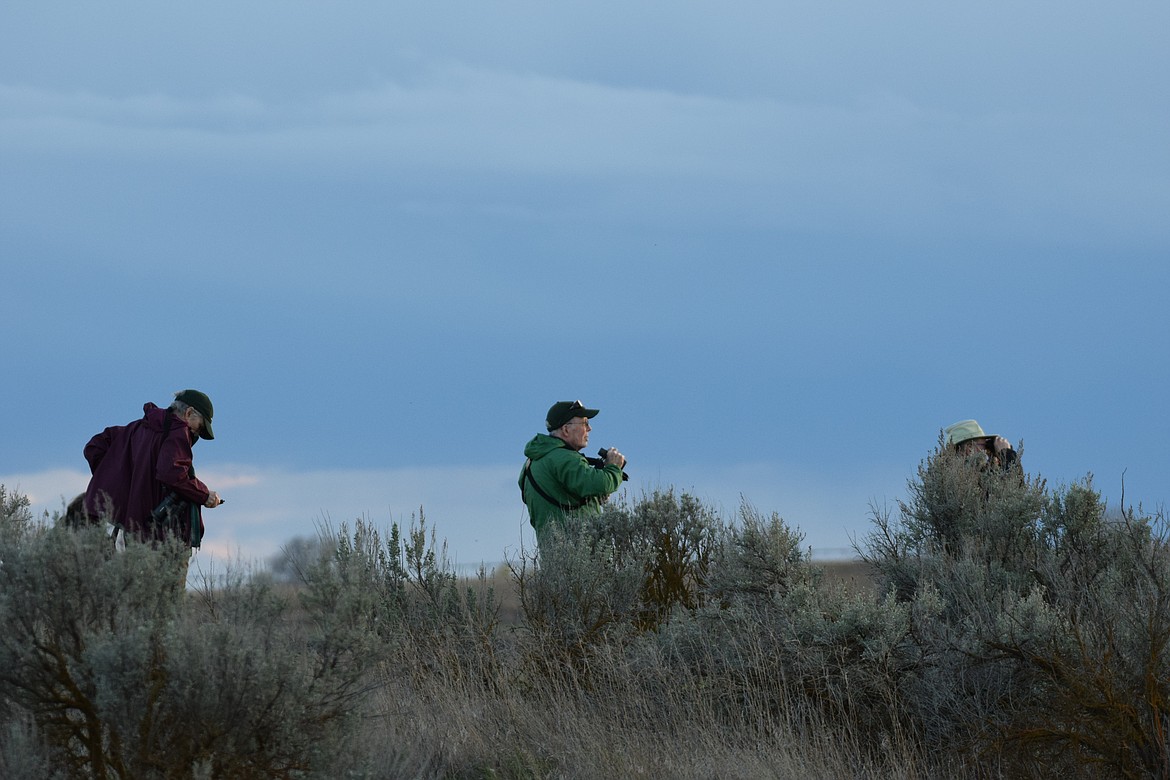 Bird enthusiasts watch for sandhill cranes and other wildlife March 23 at Scooteney Reservoir. The Othello Sandhill Crane Festival was held in Othello March 22-24 for the 26th year.