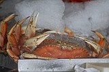 California's commercial Dungeness crab season will end April 8 to protect whales