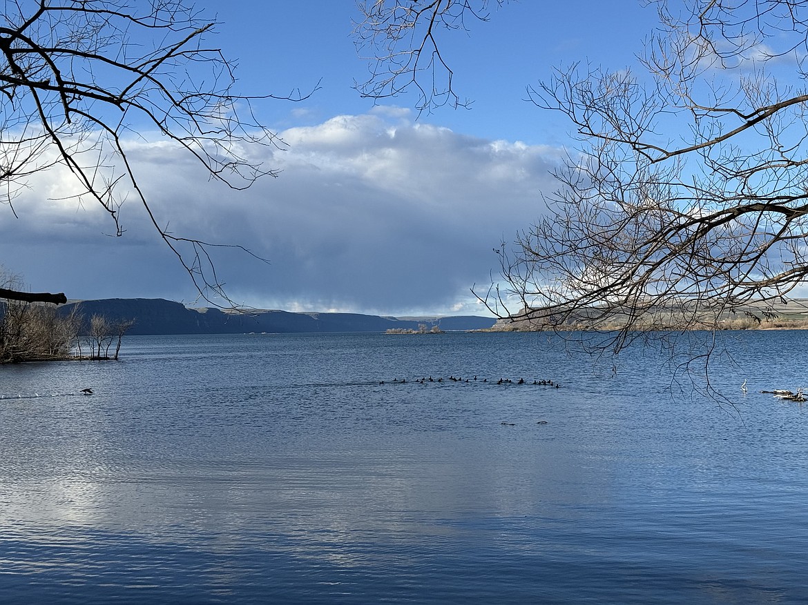 Birds line the surface of Banks Lake on Saturday. Spring weather will put in an appearance this week, with temperatures Tuesday heading into the mid-70s before settling back down to around 60 later in the week.